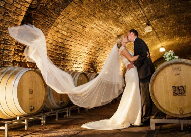 Hochzeit auf dem Weingut von Winning bei Aline Lange Fotografie