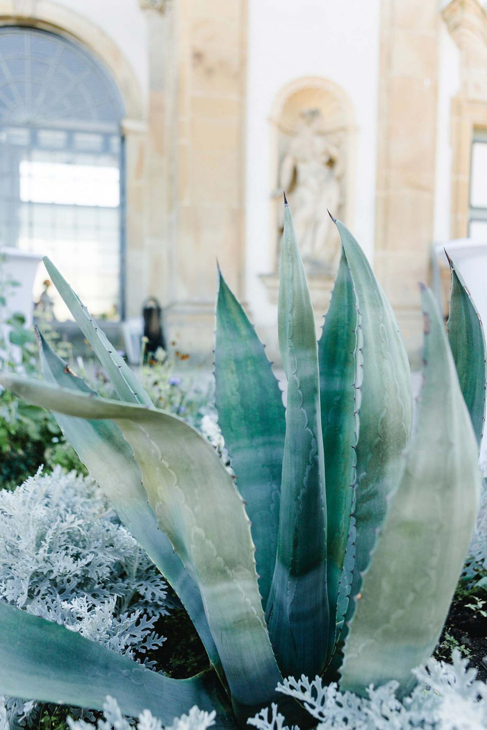 Julia & Sascha: Botanische Hochzeit im Schlossgarten