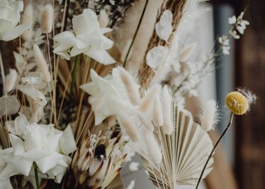 Boho-Hochzeitskonzept bei GUTLANDS