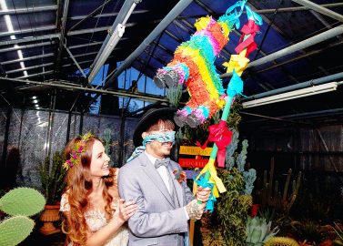 Biodom Esslingen: Mexican Wedding Konzept
