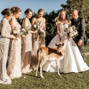 Hochzeitswahn - Braut und Bräutigam sowie vier Brautjungfern in eleganten Kleidern stehen bei einer Hochzeit im Freien und interagieren bei sonnigem Himmel zärtlich mit einem kleinen Reh. Burg-Staufeneck