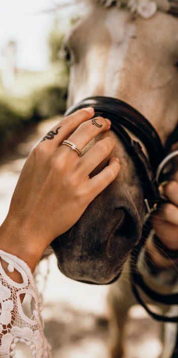 Hochzeitswahn - Eine sanfte Hand, geschmückt mit einem zarten Ring und einer Tätowierung, streichelt die Schnauze eines Pferdes und zeigt einen heiteren Moment der Mensch-Tier-Verbindung.