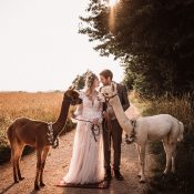 Heiraten auf einem Alpakahof